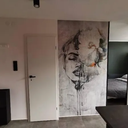 Apartment Centrum Srodmescie